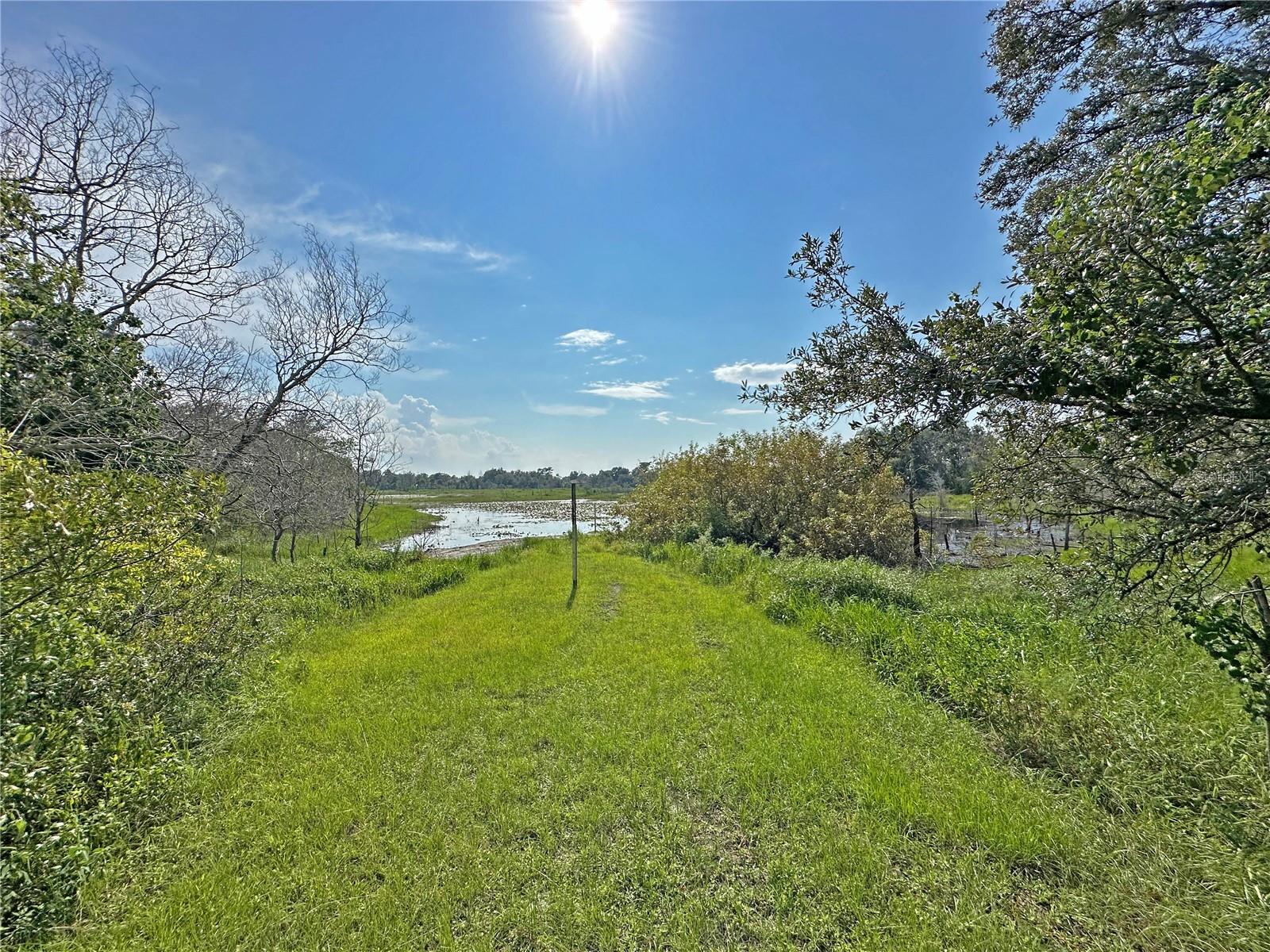Discover this stunning .38-acre lot with water views, perfectly situated on Courtland Blvd. This exceptional property comes free of HOA restrictions, giving you complete freedom to build your ideal home exactly as you envision it. Nestled among established residences on a fully paved road, the lot requires only clearing before construction can begin.
Enjoy a prime location with convenient access to shopping, dining, healthcare facilities, beautiful beaches, and retail stores. The property also offers easy access to I-4, making commuting a breeze. Images shown are representative only.
