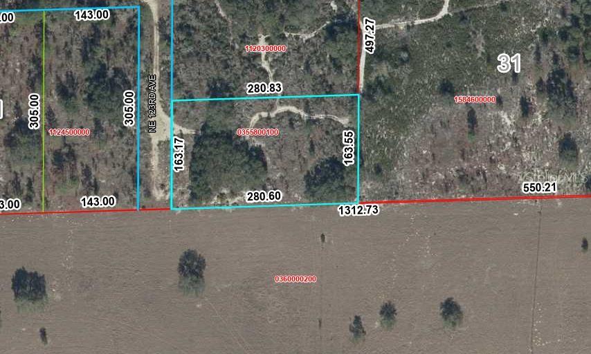 Photo of Tbd NE 123rd Ave, Williston, FL 32696 (MLS # GC543295)