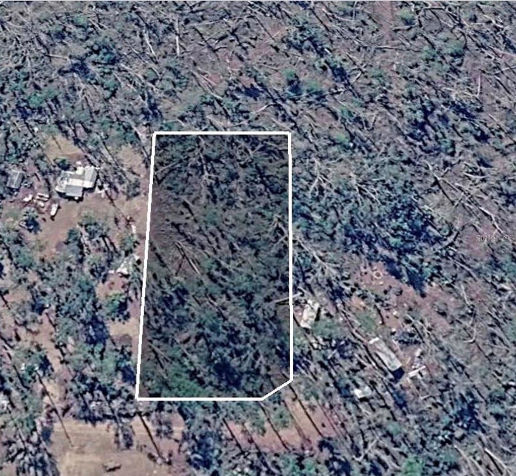 Photo of Dove Lane, Perry, FL 32348 (MLS # TB8501271)