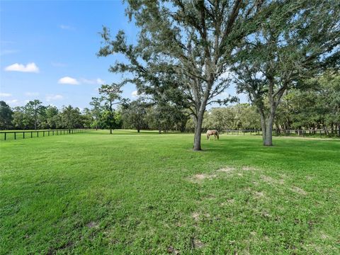 Tiny photo for 4658 W Hacienda Drive, Beverly Hills, FL 34465 (MLS # OM699715)