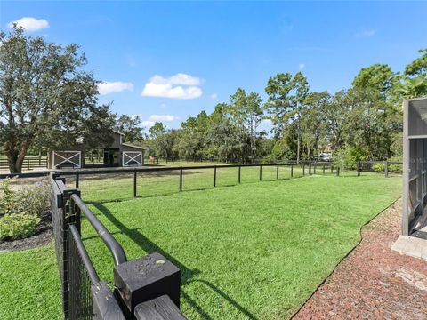 Tiny photo for 4658 W Hacienda Drive, Beverly Hills, FL 34465 (MLS # OM699715)