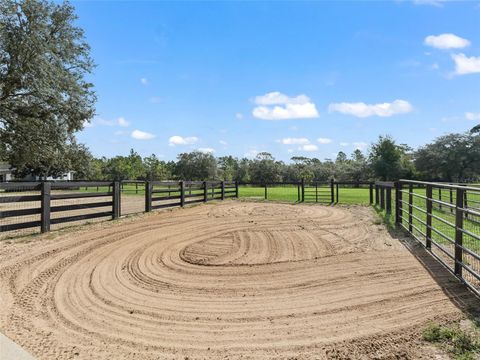 Tiny photo for 4658 W Hacienda Drive, Beverly Hills, FL 34465 (MLS # OM699715)