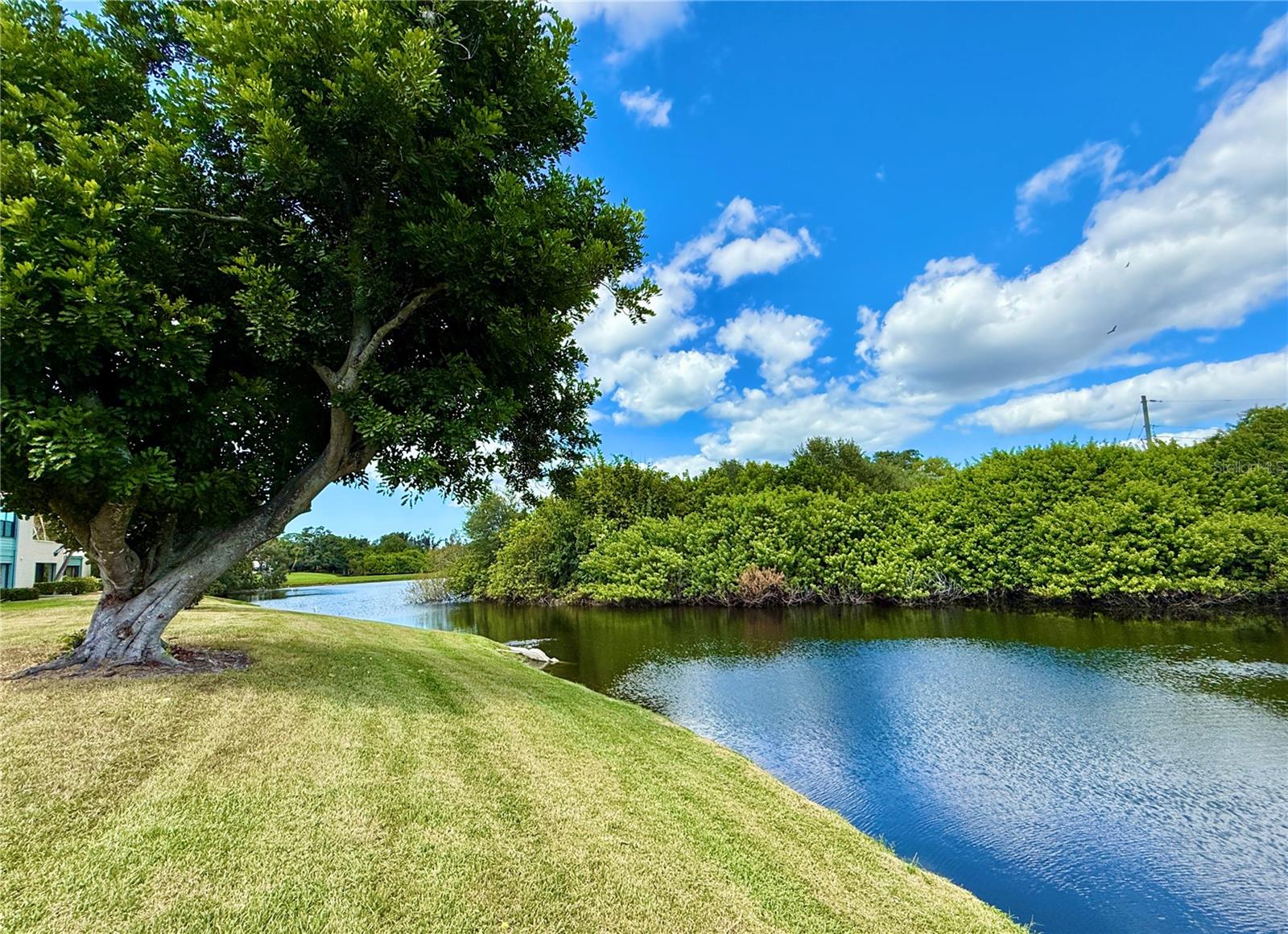SPRING LAKES III - Residential
