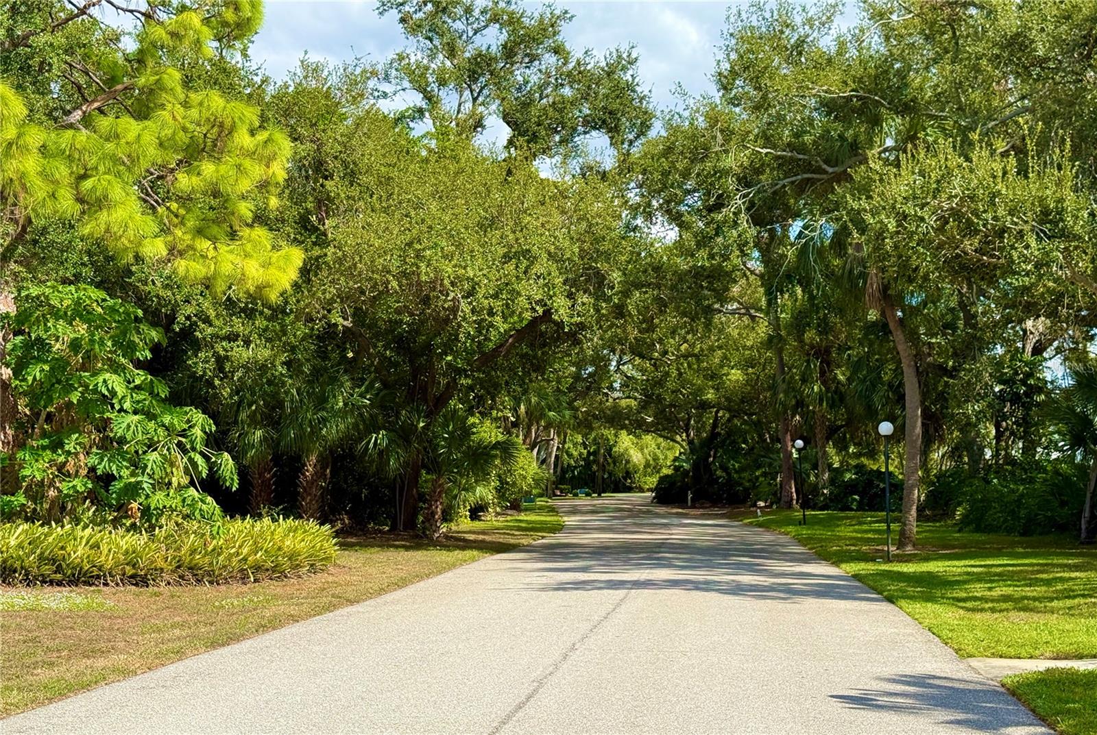 SPRING LAKES III - Residential