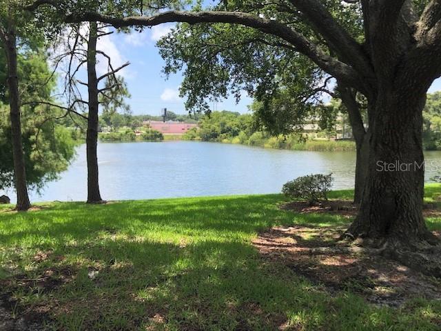 MEADOWLAKE PALM HARBOR CONDO - Residential