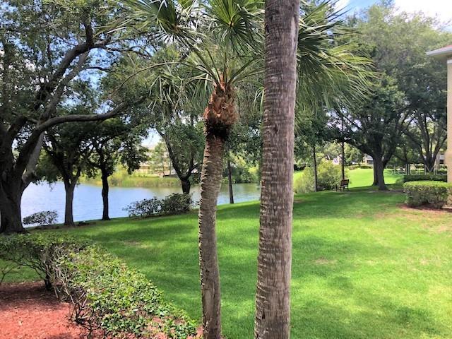 MEADOWLAKE PALM HARBOR CONDO - Residential