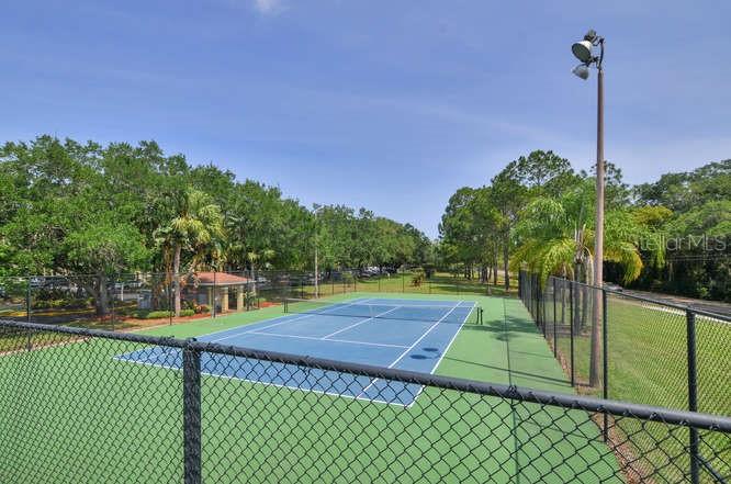 MEADOWLAKE PALM HARBOR CONDO - Residential