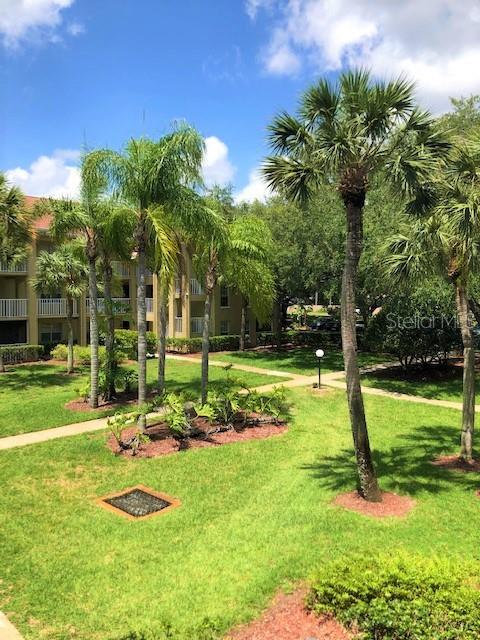 MEADOWLAKE PALM HARBOR CONDO - Residential
