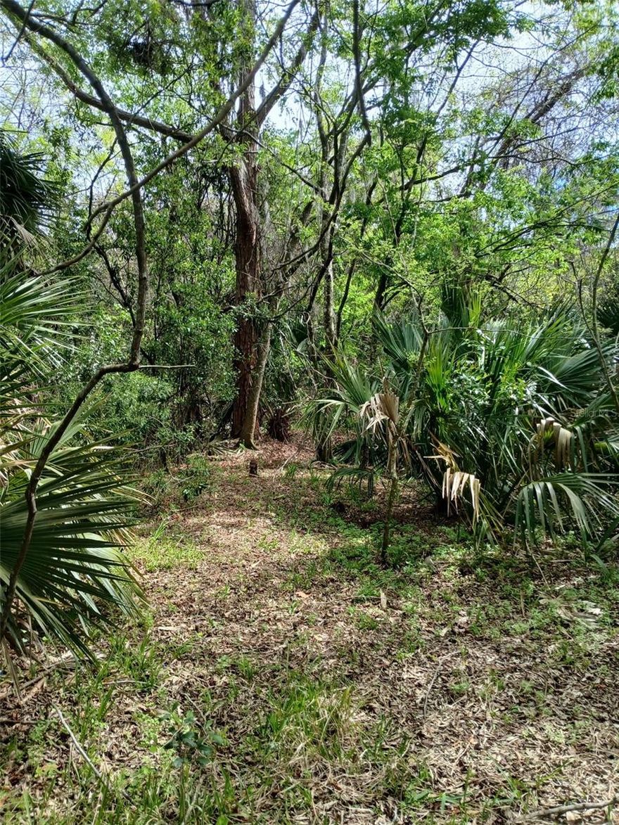 Build your vision in the heart of DeLand! This 0.14-acre vacant lot offers an opportunity to create your own single-family home in an established area. Zoned for single-family residential use, this property provides flexibility for a custom build or future investment.

The lot is undeveloped with no utilities currently in place, allowing a new owner to design and install services to suit their plans. Conveniently located near historic downtown DeLand, residents can enjoy easy access to local shops, restaurants, parks, and community events while still enjoying the feel of a quiet residential setting.

Whether you're a builder, investor, or future homeowner ready to bring a vision to life, this property presents a great opportunity to secure land in a growing area of Volusia County.