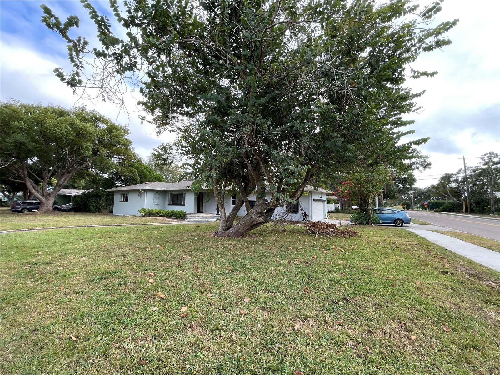 PALM TERRACE - Residential