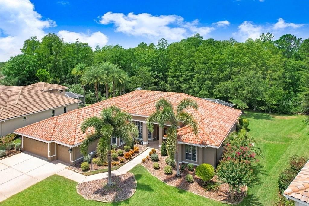 Photo of 12029 Brewster Drive, Tampa, FL 33626 (MLS # TB8411510)