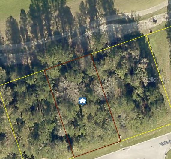 Already connected to public sewer, public water, electricity, and natural gas, this .275-acre homesite in the prestigious, gated community of Southern Hills Plantation is ready for you to build the home of your dreams. Set along the rolling fairways of the championship Pete Dye-designed golf course, the lot offers sweeping panoramic views that stretch across the hills, giving the entire setting a rare, almost mountainous feel—especially unique for Florida. Perched at one of the highest elevations in Hernando County, you’ll enjoy peaceful breezes, vibrant sunrises, and a lifestyle designed around comfort, luxury, and connection to nature. Southern Hills offers resort-style living with a wide range of amenities including a full-service clubhouse with a pro shop and restaurant, a resort-style pool with a swim-up bar, tennis courts, pickleball courts, scenic parks, walking trails, and ballrooms available to rent for special occasions. Whether you prefer relaxing afternoons on the porch or active days on the court or course, this community has something for everyone. Just 10 miles from the Suncoast Parkway, the location also offers a convenient and efficient commute to Tampa and nearby cities while still feeling tucked away from it all. Local attractions include downtown Brooksville (3 miles), filled with charming shops and historic character; Weeki Wachee Springs State Park (18 miles), known for kayaking and family fun; and the Withlacoochee State Forest (9 miles), a haven for hiking, biking, and exploring nature. This homesite blends luxury living with the natural beauty of the land—truly a place to build something extraordinary.
