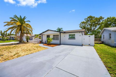 1036 VIKING DRIVE HOLIDAY FL 34691