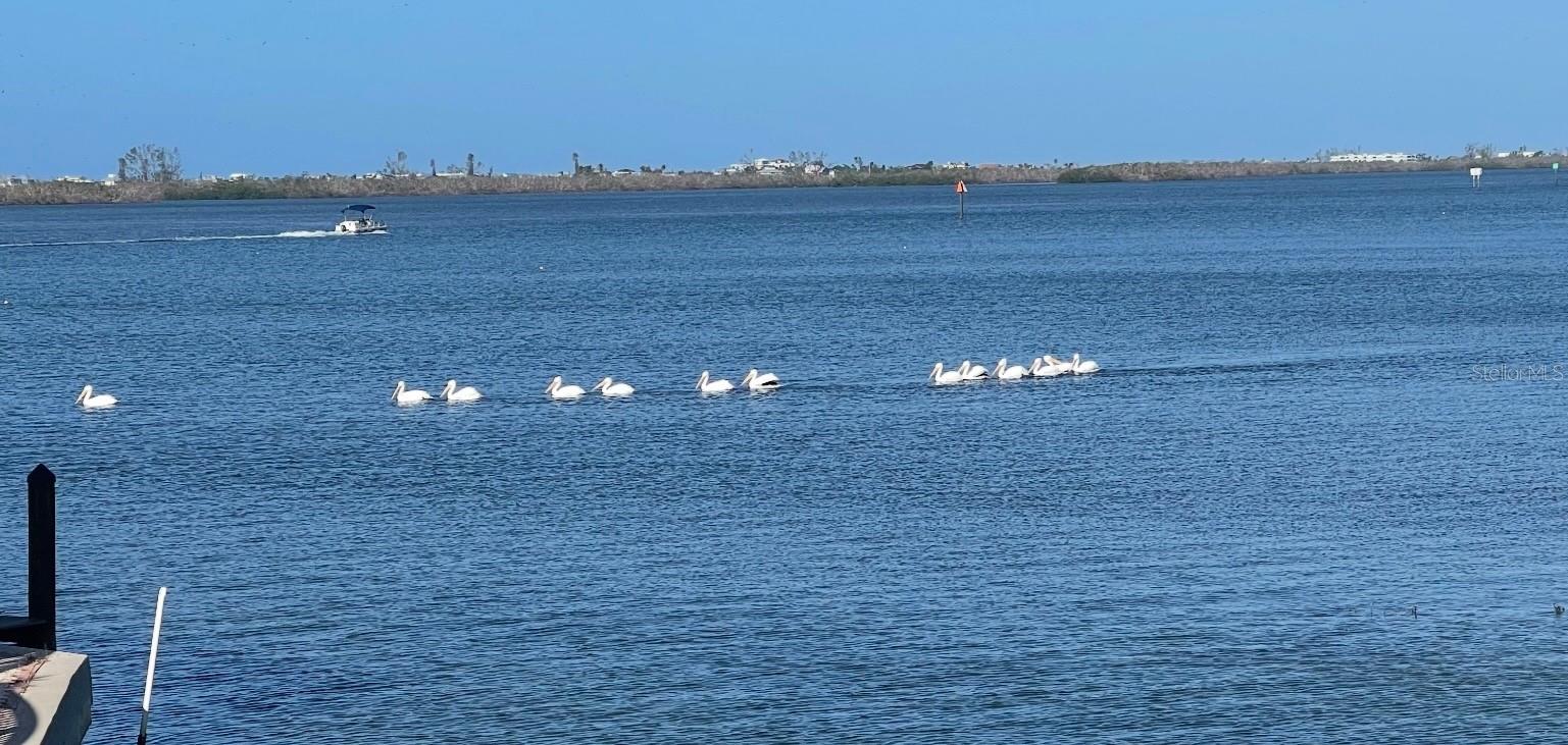 PARK POINTE MOB HME VLGE - Land