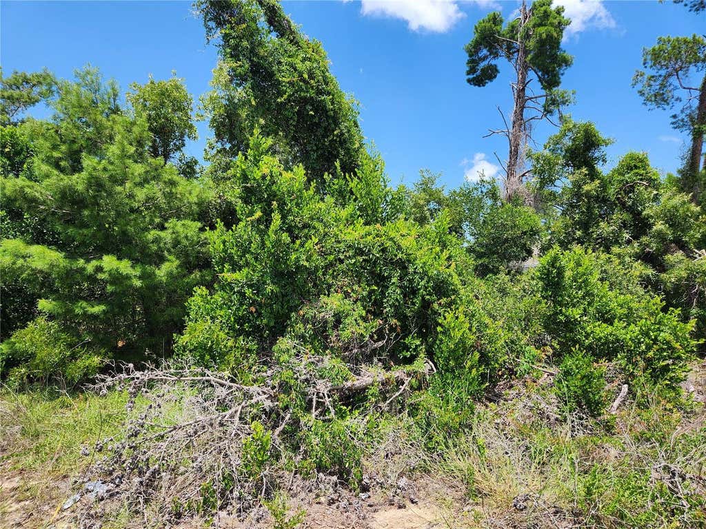 Photo of 6241 Mariner Boulevard #Lot 31, Spring Hill, FL 34609 (MLS # W7888419)