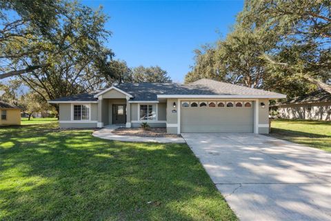 36517 FRANCIS DRIVE GRAND ISLAND FL 32735