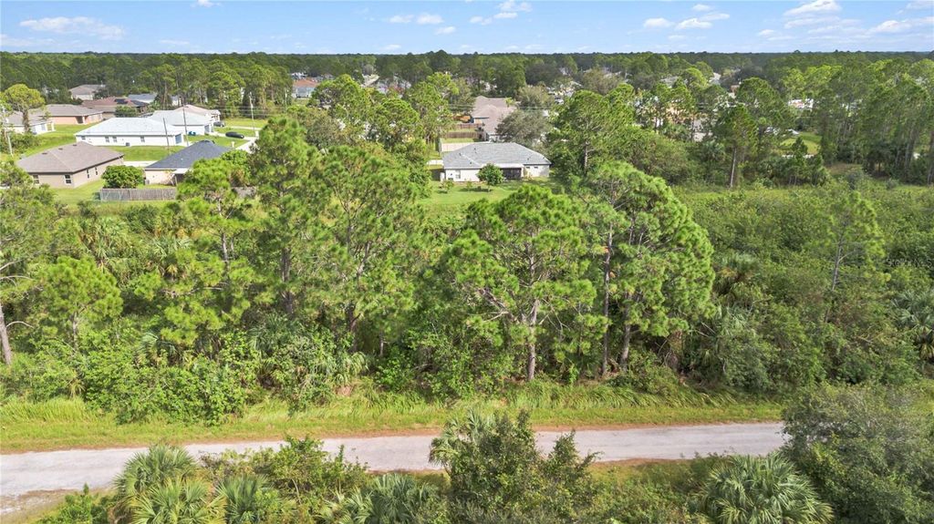 Photo of 2533 Valentine Avenue SW, Palm Bay, FL 32908 (MLS # O6377883)