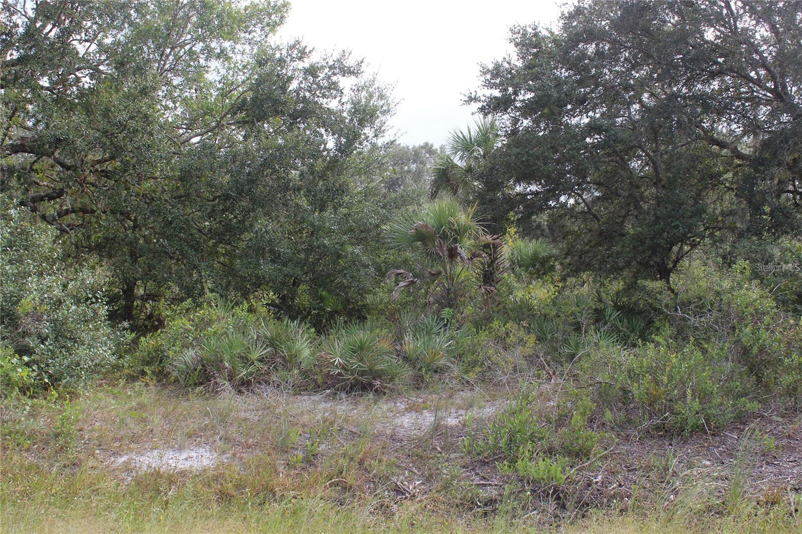 This 2.5-acre parcel in Okeechobee County, zoned residential acreage is an opportunity for those seeking a lifestyle surrounded by nature! Close to the Kissimmee Prairie Preserve State Park, this property offers endless opportunities for fishing, hunting, and exploring outdoor adventures. Enjoy the wide open space between the horizons and privacy of country living with close proximity to multi-use trails for hiking, recreational or horseback riding. Whether you're looking to start an agricultural venture or simply escape the hustle and bustle, this is the perfect spot for you. Don’t miss out on this chance to secure your piece of Florida's natural beauty today!