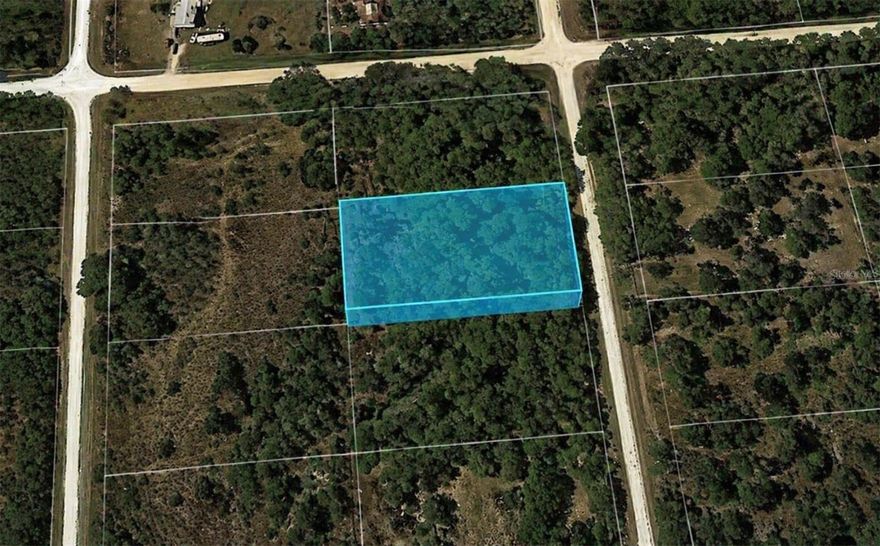 Great opportunity to own a residential lot in a quiet, growing area of Clewiston. This property offers a natural setting with mature vegetation and convenient road access, ideal for a future homesite or investment.

Located just minutes from town with easy access to US-27 and near Lake Okeechobee for fishing and outdoor recreation.

Well and septic needed. Cash purchase only. Buyer pays all closing costs. Buyer to verify utilities, zoning, and buildability.