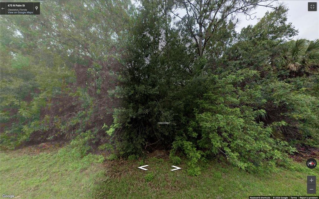 Photo of 670 N Palm Street, Clewiston, FL 33440 (MLS # TB8492735)