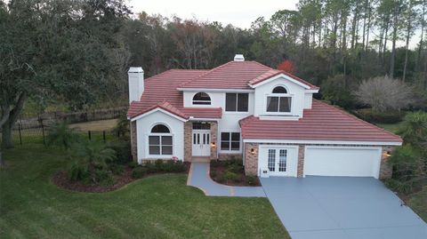 8702 CYPRESS MILL COURT TAMPA FL 33647