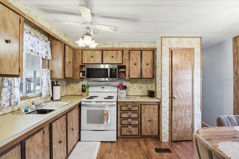 Tiny photo for 4072 S Illiana Terrace, Inverness, FL 34452 (MLS # TB8482852)