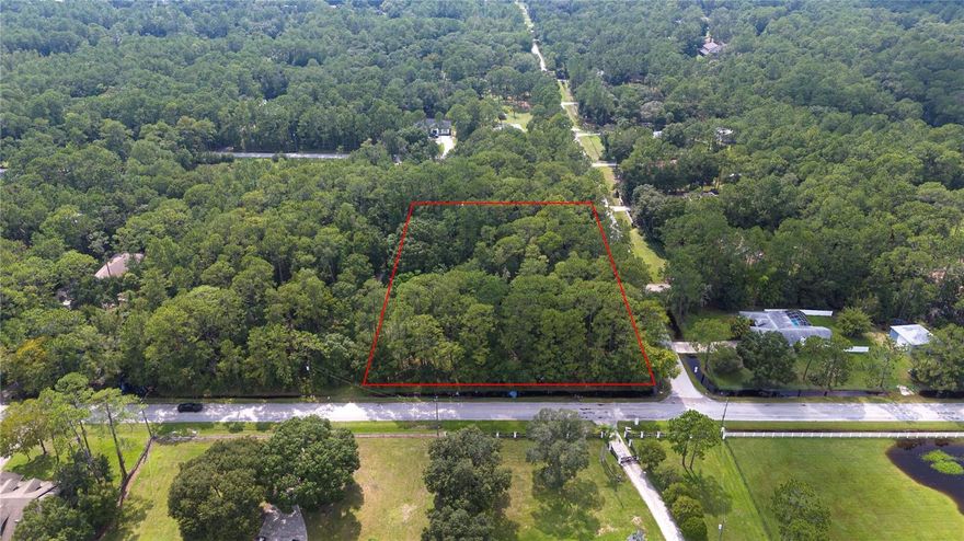 Perfect opportunity to build your dream home in Quail Hollow with NO HOA! This lot is perfect for anyone looking to escape the city or who values privacy, located only minutes from the Shops at The Grove and I75 this lot is still convenient for modern life. This property is rare in Wesley Chapel; don't wait for this opportunity to pass you by!