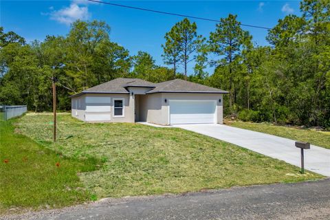 Photo of 7104 N Maltese Drive, Citrus Springs, FL 34433 (MLS # O6309029)