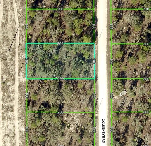 Nestled away in a highly desirable area of the Royal Highlands, this beautiful home site is waiting for you. The location is fantastic, ready to build your dream home on - or hold on to as an investment. Not in a deed restricted community, NO HOA or CDD fees either, and there is no time limit on when you can build. Close to all area amenities such as shopping, schools, dining, entertainment, medical, saltwater fishing in the Gulf and natural freshwater rivers and springs - for those who love the outdoors. Come see this beautiful home site today before it's gone. If you have any questions, just ask.
