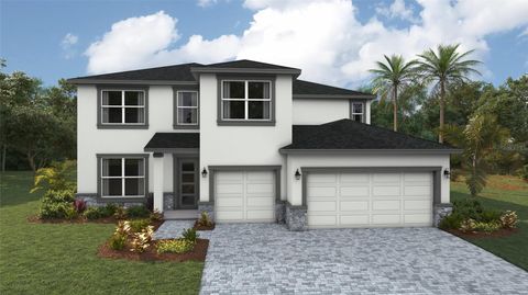 Photo of 1820 Vandalia Place, Parrish, FL 34219 (MLS # A4690144)