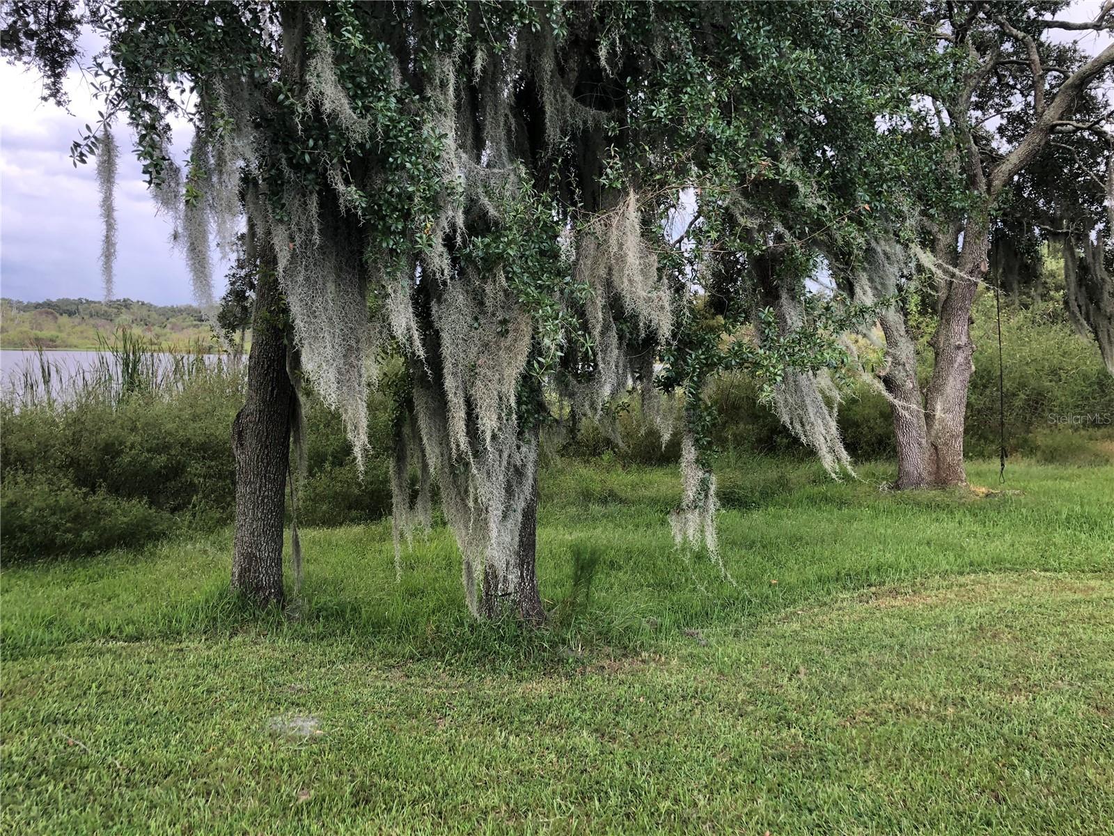 REGENCY KEY TWNHMS - Residential Lease