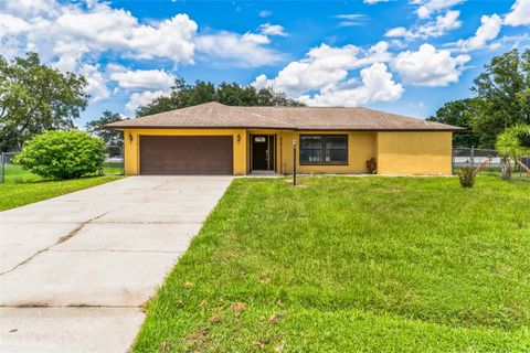 A home in KISSIMMEE