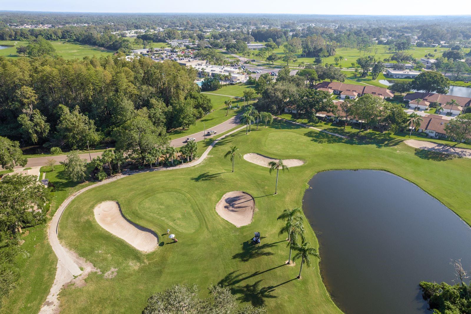 SEVEN SPGS VILLAS CONDO - Residential