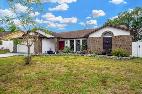 A home in VALRICO