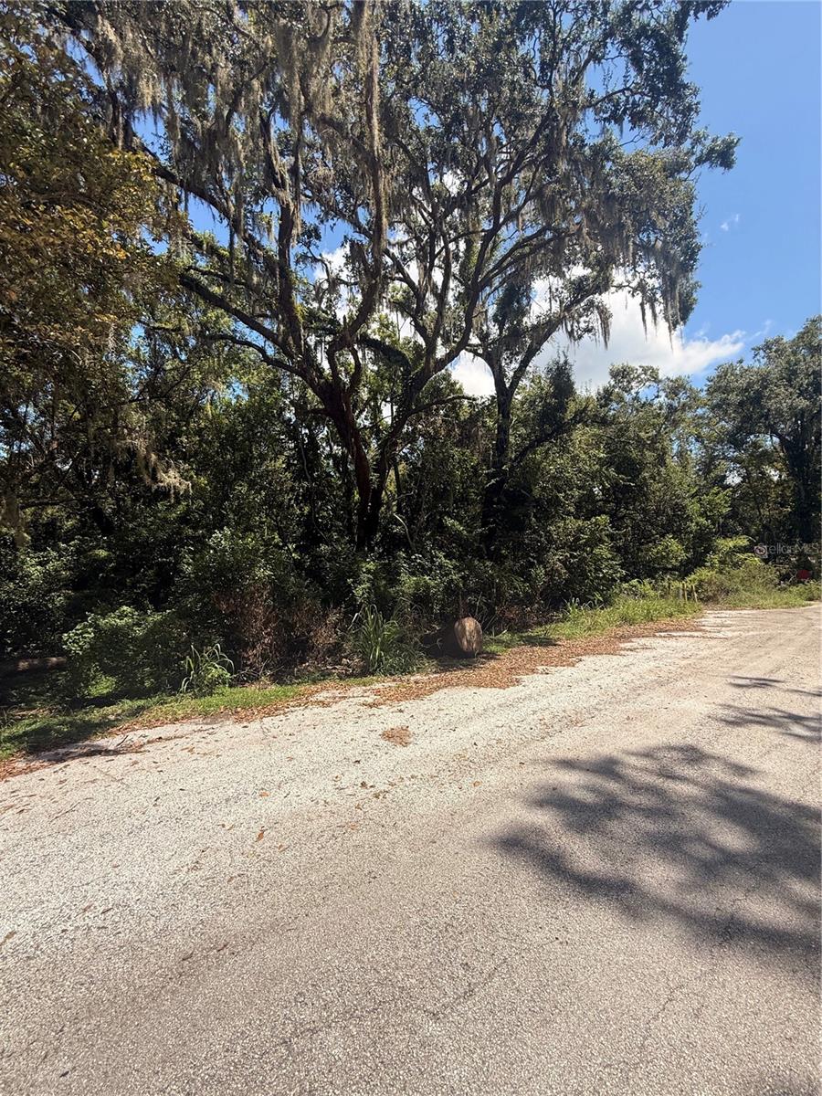 This is a 100% Florida wetland property. It is unimproved land and has a creek that runs through the middle of the property. Lots of wildlife on the property including hogs, deer, and waterfoul. The property is located at the end of a dead end road and has plenty of piece and quiet.