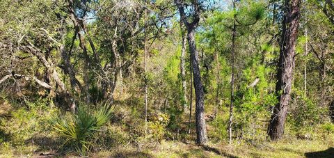 Lot 56 MICHIGAN AVENUE WEEKI WACHEE FL 34613