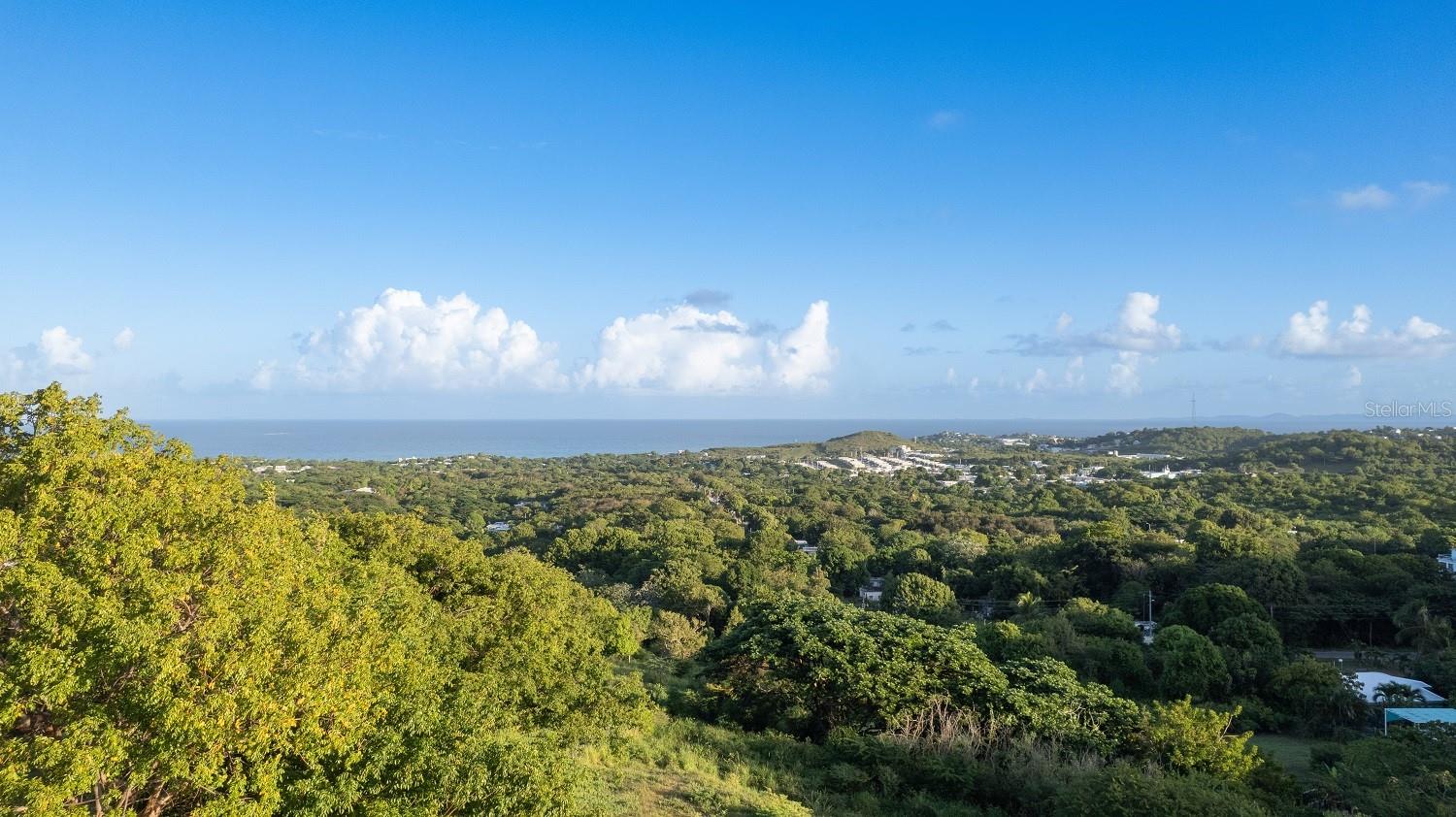 LOS CHIVOS - Residential