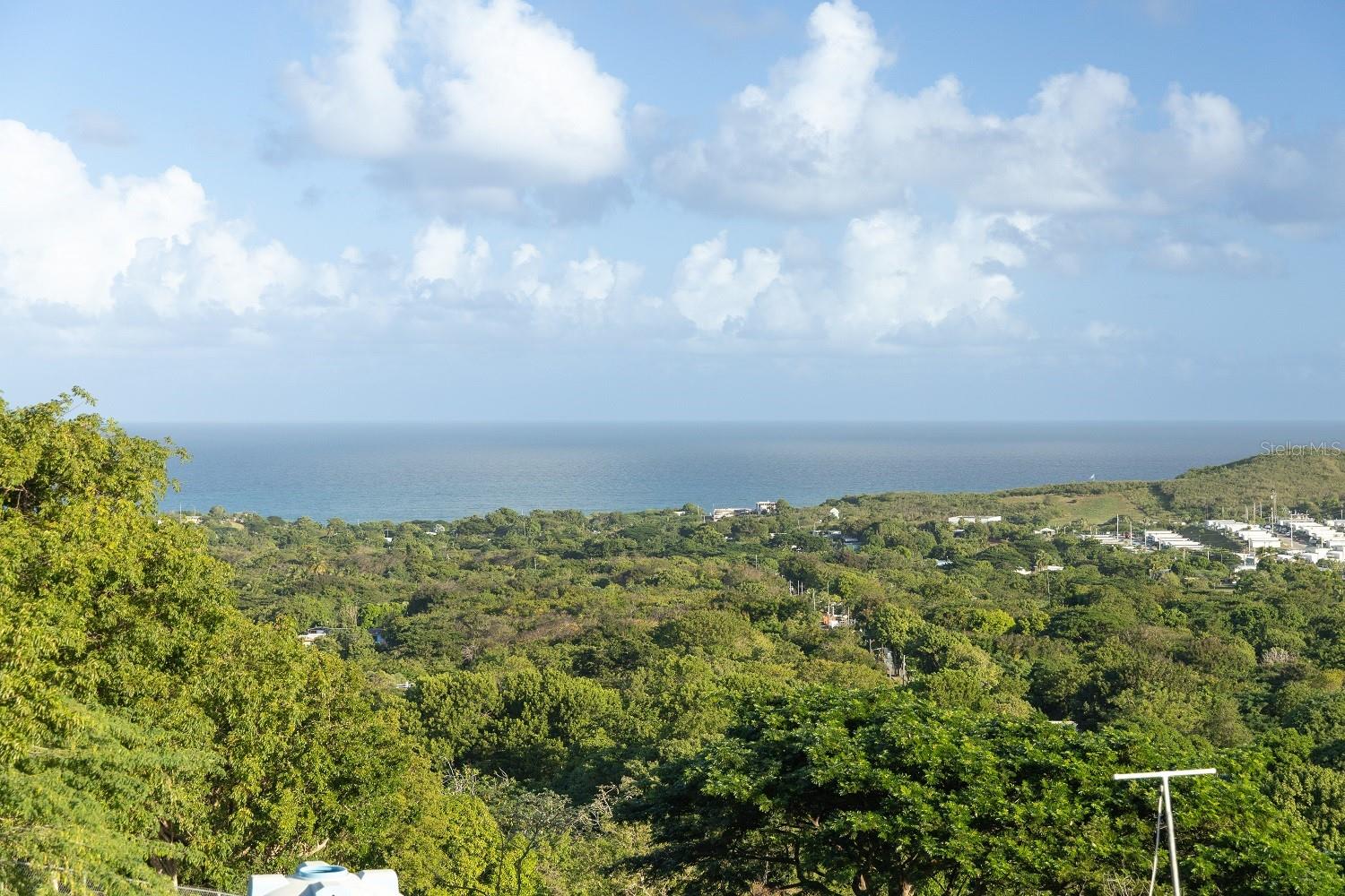 LOS CHIVOS - Residential