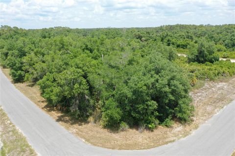 Photo of 11 Brixton Terrace, North Port, FL 34291 (MLS # C7525975)
