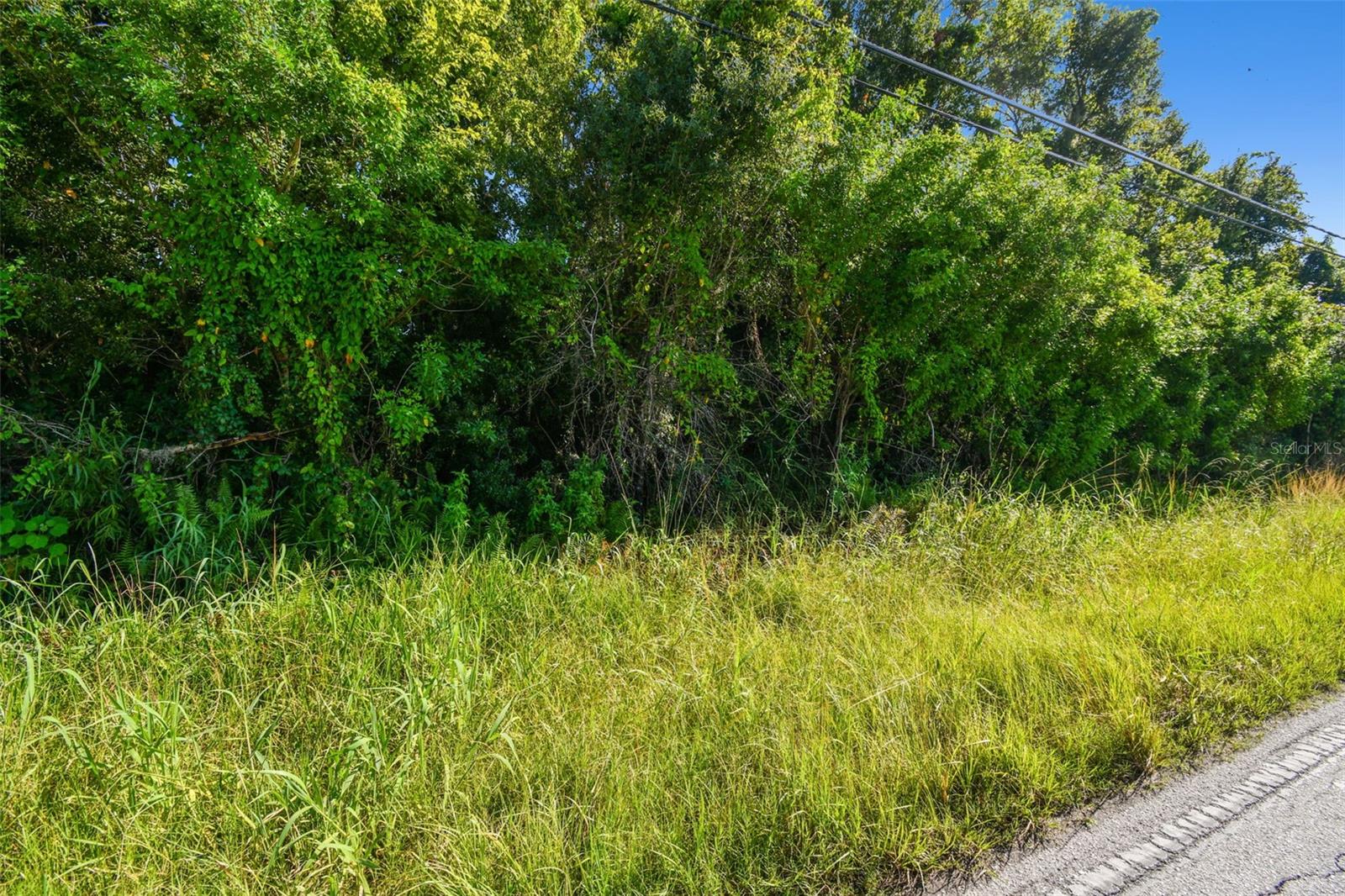 BALM-BOYETTE AREA - Land