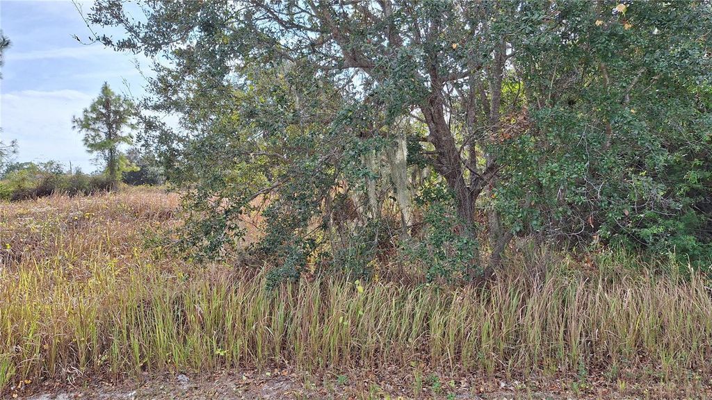 Photo of Jaylene Road, North Port, FL 34288 (MLS # A4678283)