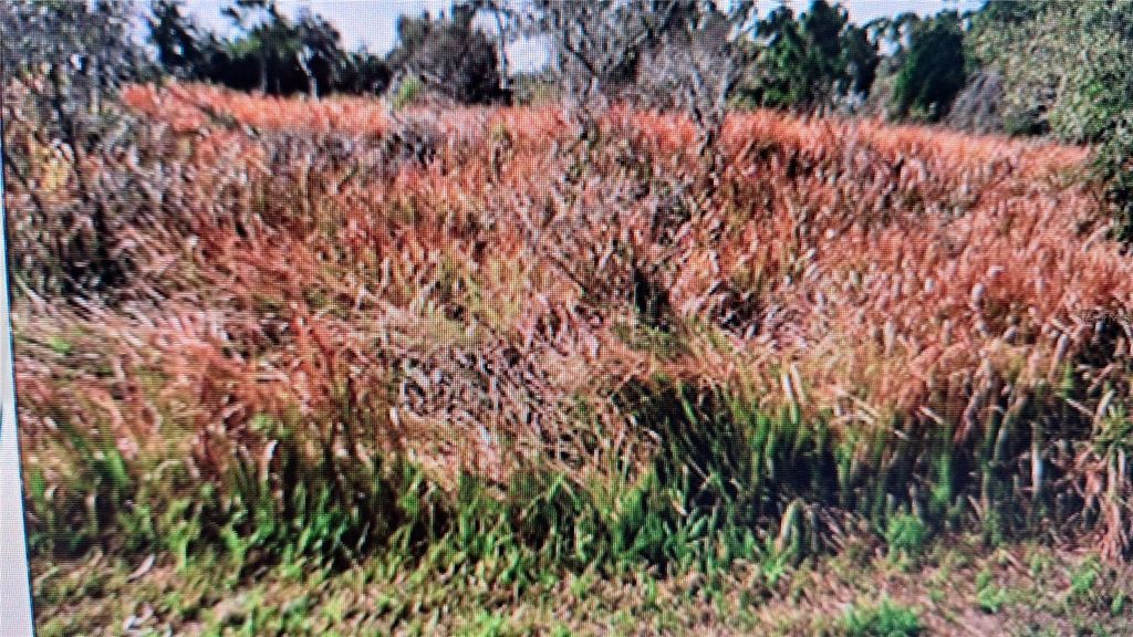 Photo of Jaylene Road, North Port, FL 34288 (MLS # A4678283)