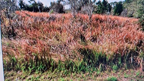 JAYLENE ROAD NORTH PORT FL 34288