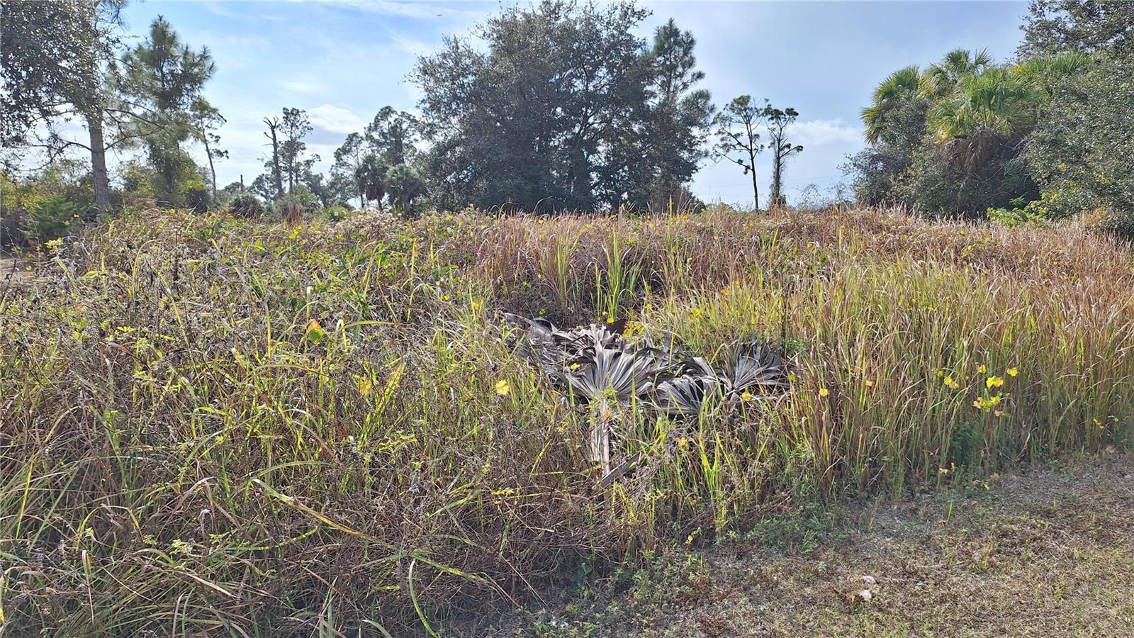 PORT CHARLOTTE SUB 32 - Land