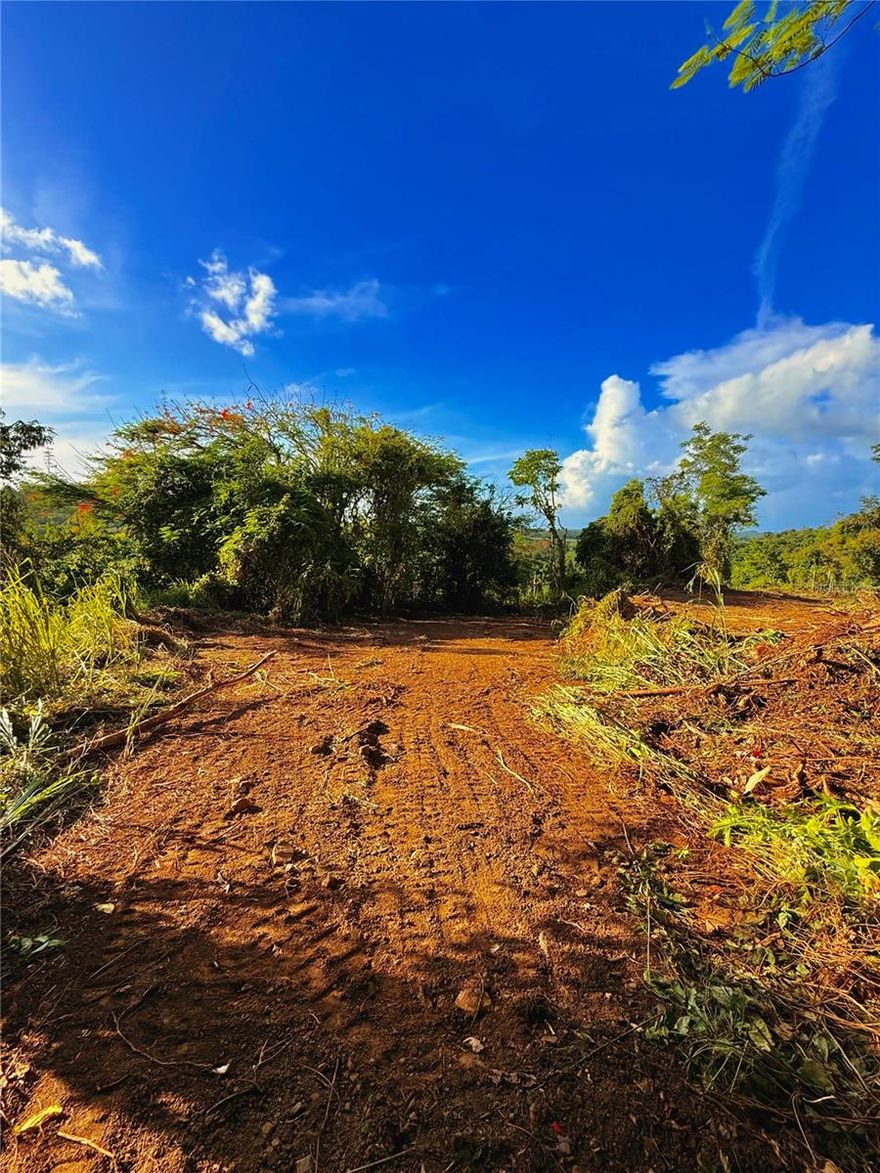 Your Next Project Surrounded by Nature – CRC-3 Zoned Lot in Carolina
This 1.397-cuerda lot (approx. 5,492 m²) offers the ideal setting for a mindful development in harmony with the environment—without sacrificing accessibility. Located in an elevated area of Barrio Cacao in Carolina, this property provides scenic views toward the river and a peaceful, private atmosphere surrounded by lush greenery and fresh air.

** Zoning: CRC-3 – Watershed Conservation
This zoning allows for a variety of environmentally compatible uses, including:

*Single-family or two-family residences

*Low-impact eco-projects or agro-tourism developments

*Glamping, bed & breakfast accommodations, or tiny homes

*Agricultural activities using sustainable practices

*Passive recreational spaces that align with conservation goals

** Prime Location
Just minutes from Route 66 and Carr #3, the international airport, shopping centers, and beautiful beaches—yet still immersed in tranquility and nature.

*** Opportunity for Joint Purchase
This lot is adjacent to another available property. Buying both can expand your project’s potential. Special pricing available for joint acquisition! ***