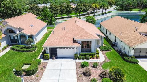 11121 CHERRYWOOD COURT SPRING HILL FL 34609