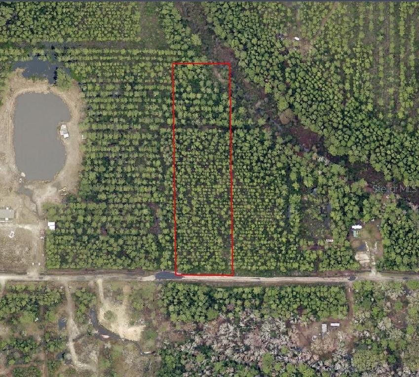 Photo of NE 215th Street, Fort Mccoy, FL 32134 (MLS # A4703879)