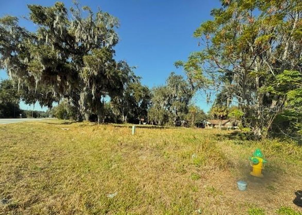 Photo of 3814 E C 478, Webster, FL 33597 (MLS # G5109673)