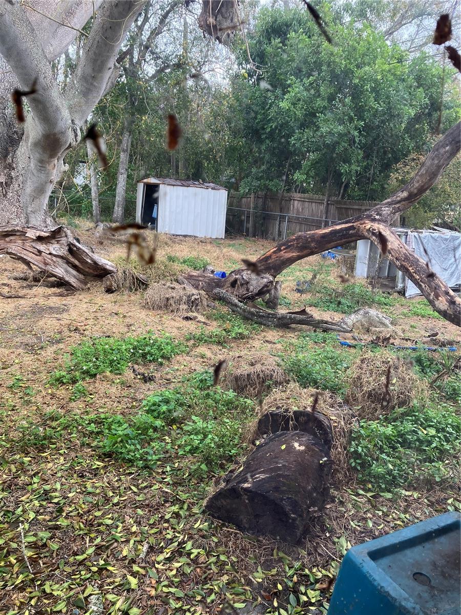 POINCIANA PARK - Residential