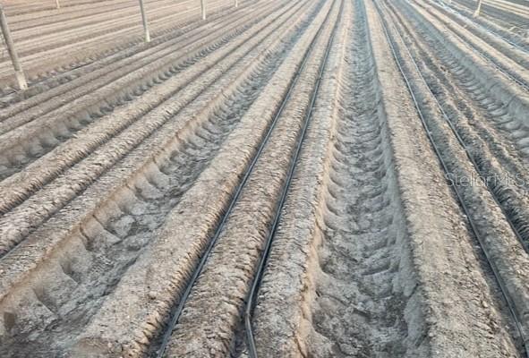 ACREAGE HEADER - Land